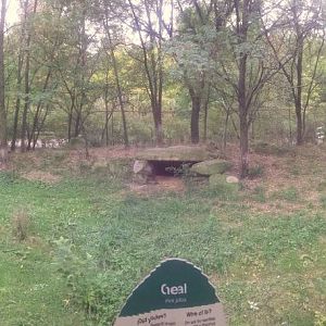 Oct. 2013 - Primate, Cat, + Aquatics - Cheetah Exhibit