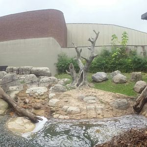 Oct. 2013 - Primate, Cat, + Aquatics - Gorilla Exhibit (Front View)