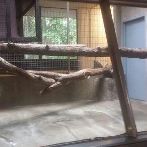 Oct. 2013 - Primate, Cat + Aquatics - Second Snow Leopard Exhibit