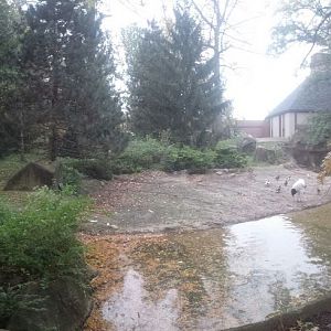 Oct. 2013 - Northern Trek - Red-crowned Crane + Tufted Deer Exhibit