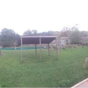 Oct. 2013 - African Savanna - Savanna Exhibit 2