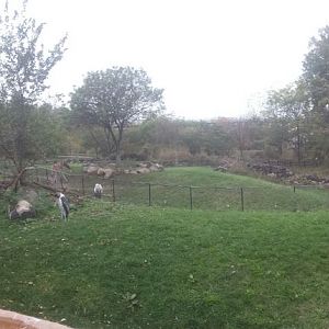 Oct. 2013 - African Savanna - Savanna Exhibits 2 + 1