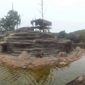 Oct. 2013 - African Savanna - Monkey Island