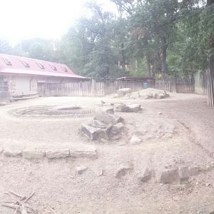 Oct. 2013 - African Savanna - Eastern Black Rhinoceros Exhibit