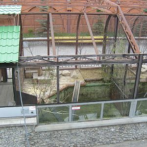 Eurasian otter exhibit