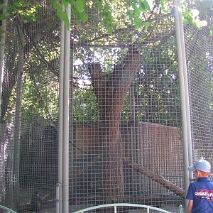 Vervet monkey exhibit