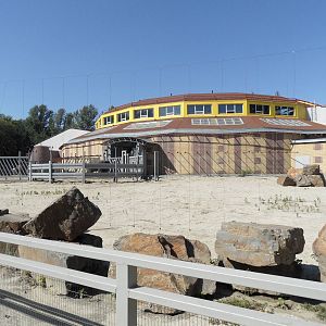 Asian elephant exhibit