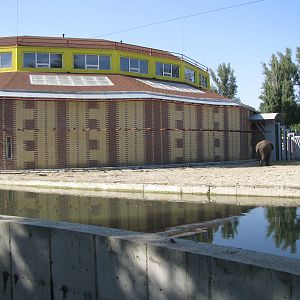 Asian elephant exhibit