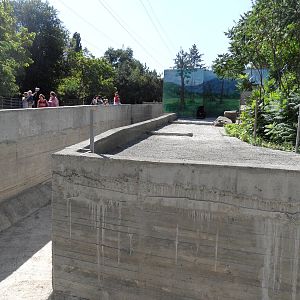 Asiatic black bear exhibit