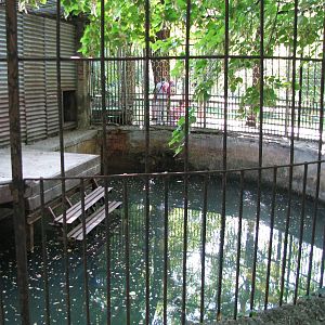 Old polar bear exhibit - pool