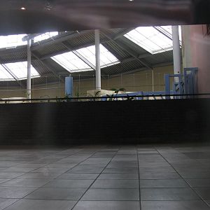 Elephant house interior