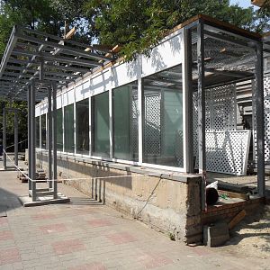 New exhibits in construction