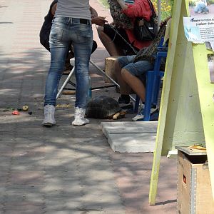 Photoshoot with zoo animals - how justified?