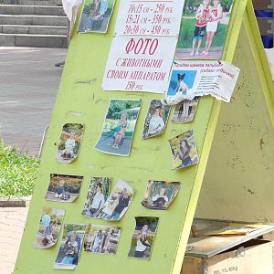 Exotic animals photoshoot - prices