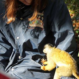 Checking the pockets