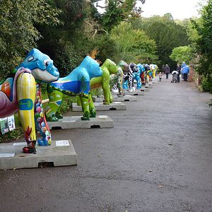 The Great Gorillas come home, 18 October 2013