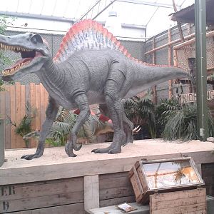 The new Dino-exhibition