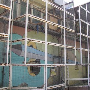 Parrots outdoor exhibit