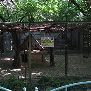 Eurasian lynx exhibit