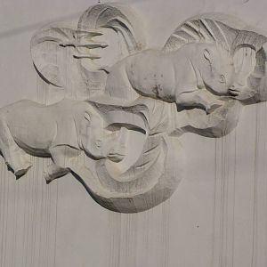 Relief on rhinoceros house