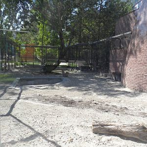 Sun bear exhibit