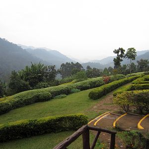 View of Bwindi National Park