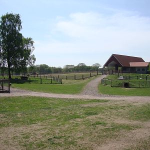 Sk?nes Djurpark May 2013