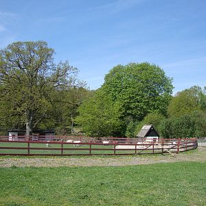 Sk?nes Djurpark May 2013