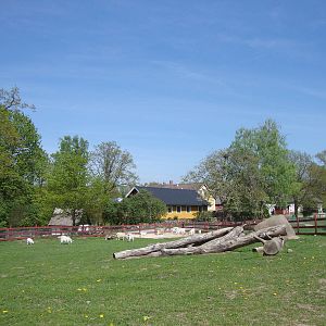 Sk?nes Djurpark May 2013