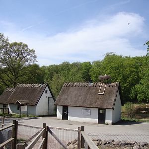 Sk?nes Djurpark May 2013