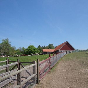 Sk?nes Djurpark May 2013