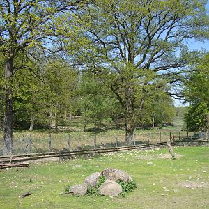 Sk?nes Djurpark May 2013