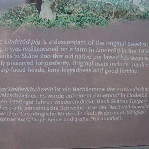 Sk?nes Djurpark May 2013