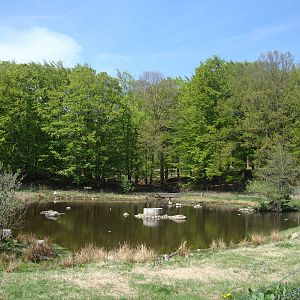 Sk?nes Djurpark May 2013