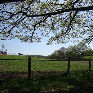 Sk?nes Djurpark May 2013