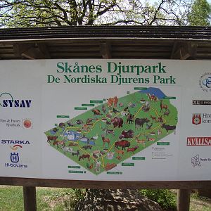 Sk?nes Djurpark May 2013
