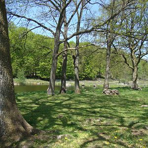 Sk?nes Djurpark May 2013