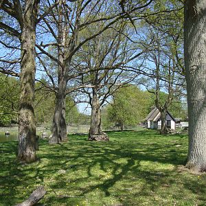 Sk?nes Djurpark May 2013