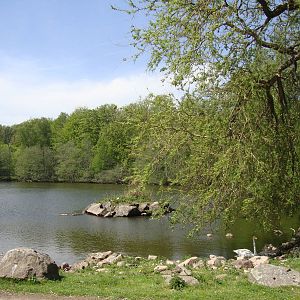 Sk?nes Djurpark May 2013