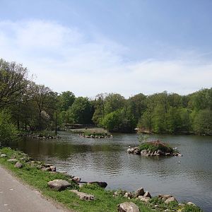 Sk?nes Djurpark May 2013