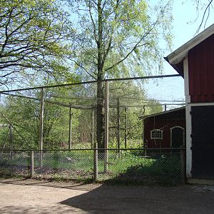 Sk?nes Djurpark May 2013