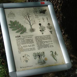 Sk?nes Djurpark May 2013