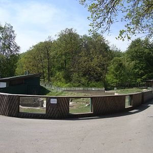 Sk?nes Djurpark May 2013