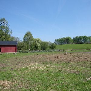 Sk?nes Djurpark May 2013