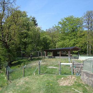 Sk?nes Djurpark May 2013