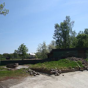 Sk?nes Djurpark May 2013