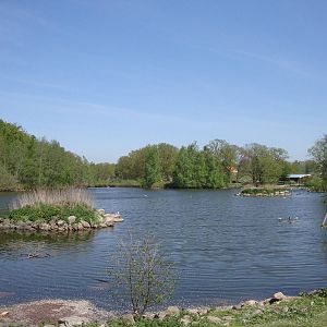 Sk?nes Djurpark May 2013