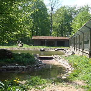 Sk?nes Djurpark May 2013