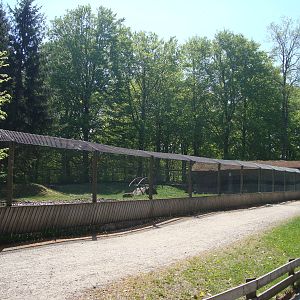 Sk?nes Djurpark May 2013