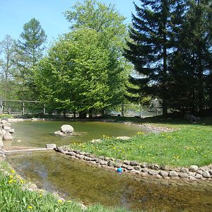 Sk?nes Djurpark May 2013